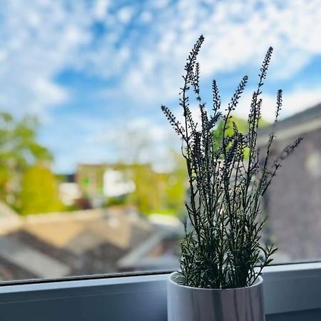 Charmant Petit Appartement. Liege Ngoại thất bức ảnh