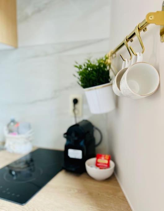Charmant Petit Appartement. Liege Ngoại thất bức ảnh
