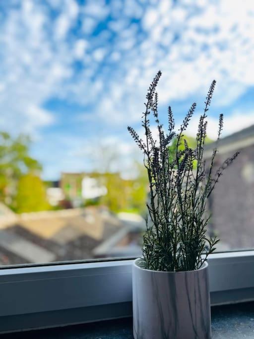Charmant Petit Appartement. Liege Ngoại thất bức ảnh