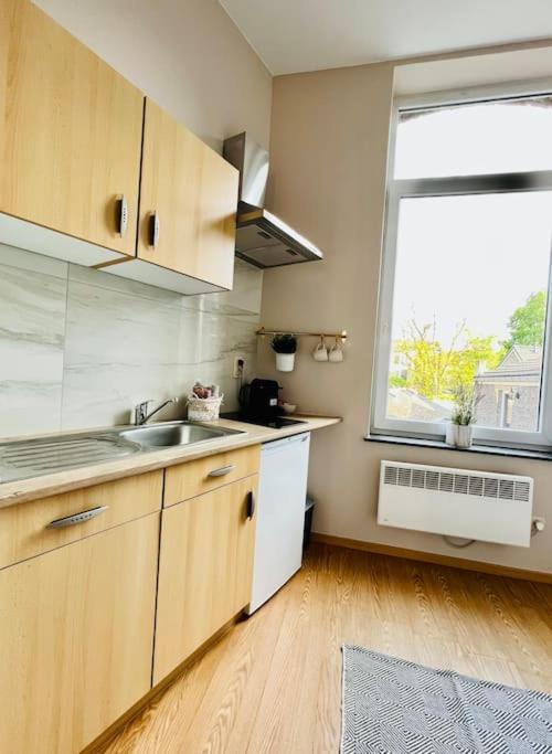 Charmant Petit Appartement. Liege Ngoại thất bức ảnh