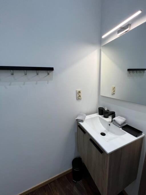 Charmant Petit Appartement. Liege Ngoại thất bức ảnh
