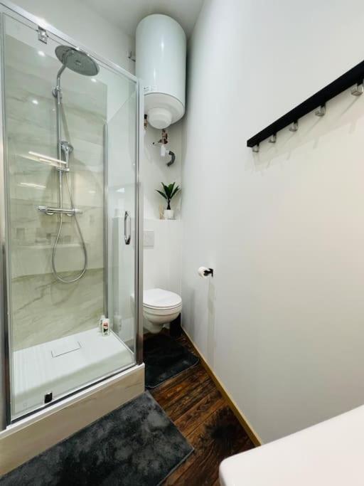 Charmant Petit Appartement. Liege Ngoại thất bức ảnh