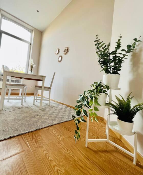 Charmant Petit Appartement. Liege Ngoại thất bức ảnh
