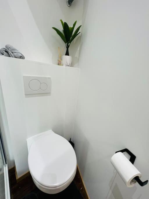 Charmant Petit Appartement. Liege Ngoại thất bức ảnh